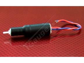 Motor with Gearbox